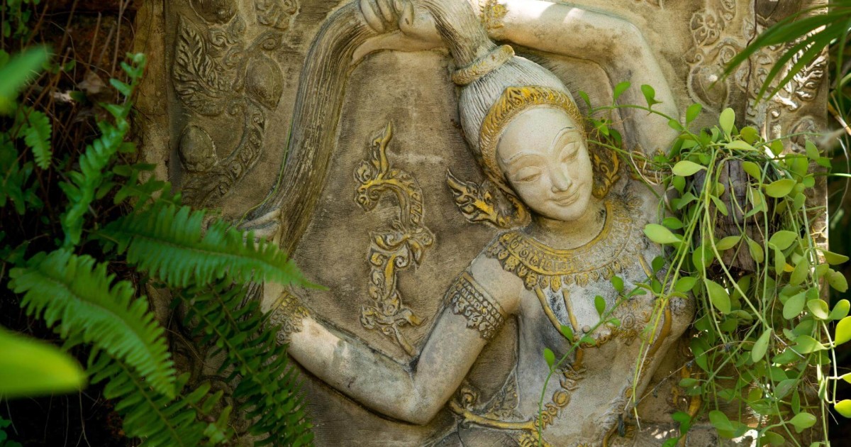 Radici, Ali e Archetipi nella Danza dell'Esistenza